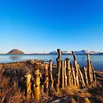 Eagle View Lofoten * Bostad